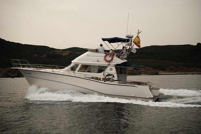 Private Tour with Dolphin Watching in Algeciras Bay - Key points to know before booking