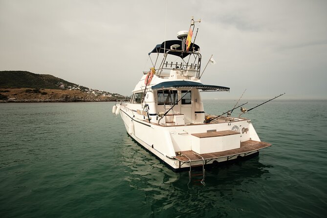 Private Tour with Dolphin Watching in Algeciras Bay - A fast start from Algeciras Marina