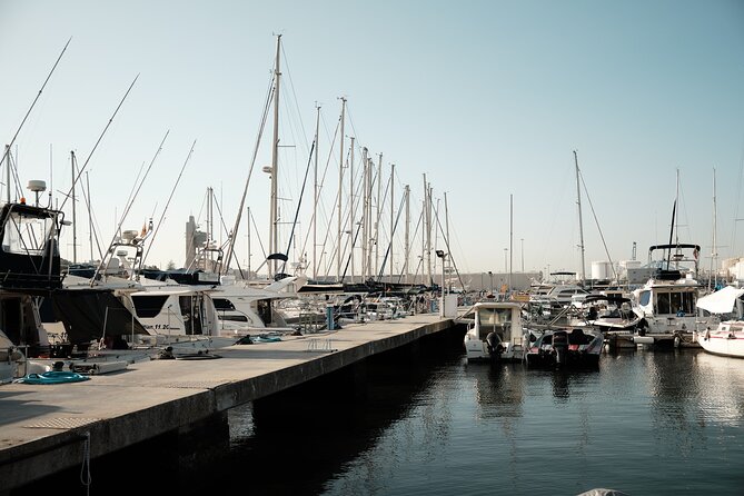Private Tour with Dolphin Watching in Algeciras Bay - What the private format is worth