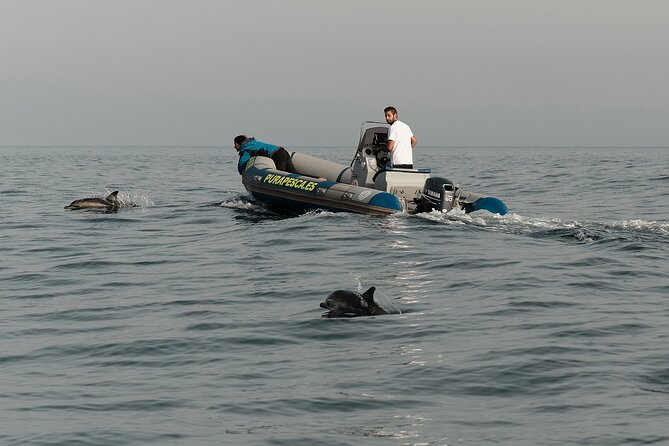 Private Tour with Dolphin Watching in Algeciras Bay - What to bring for a comfortable outing