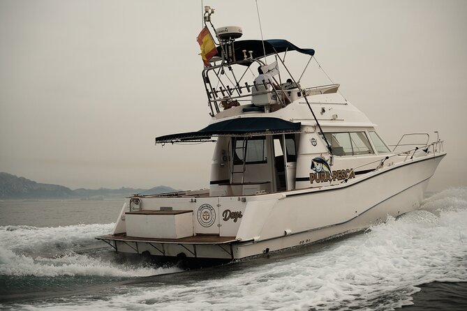 Private Tour with Dolphin Watching in Algeciras Bay - Watching dolphins without chasing them