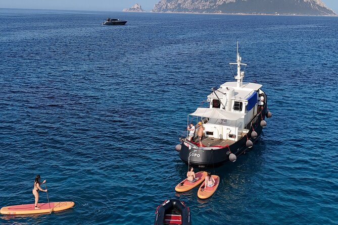 Private Tour with Historic Tugboat: Tavolara, Molara, Dolphins - Is $1,312.48 Good Value?