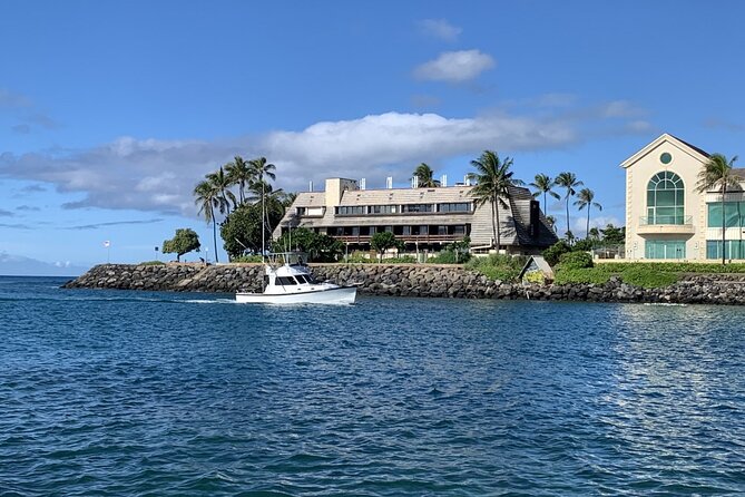 Private Whale Watching and Dolphin Excursion - The private format works best for families and friends