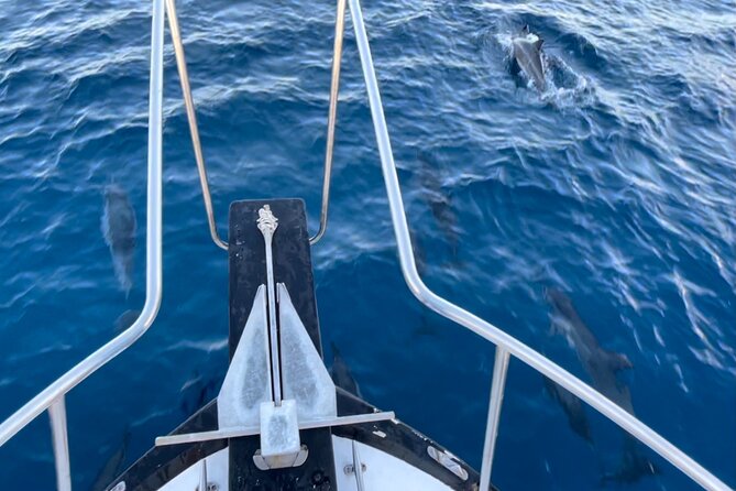 Private Whale Watching and Dolphin Excursion - Weather, cancellations, and timing