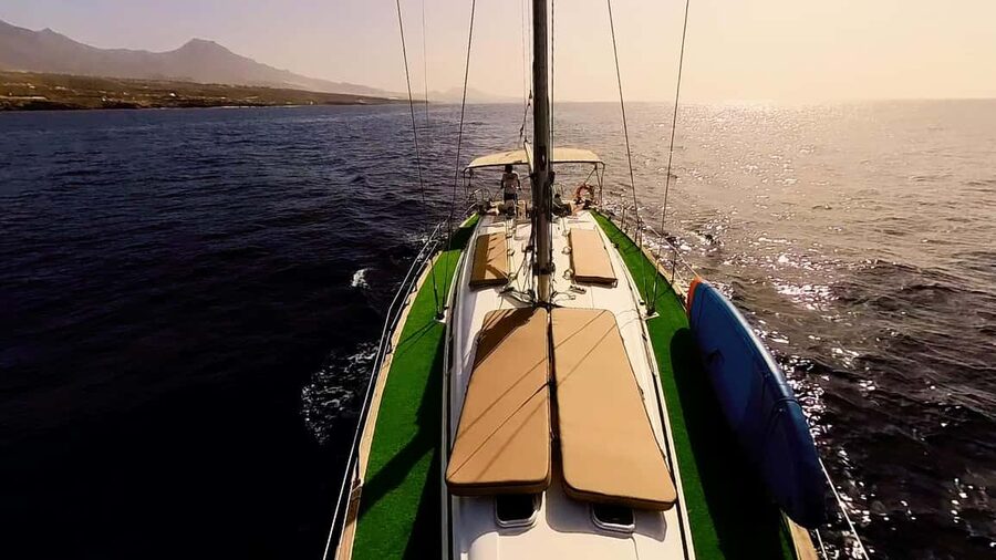 Private Whales & Dolphins Excursion: for you exclusively! - Tapas, unlimited drinks, and music aboard the yacht