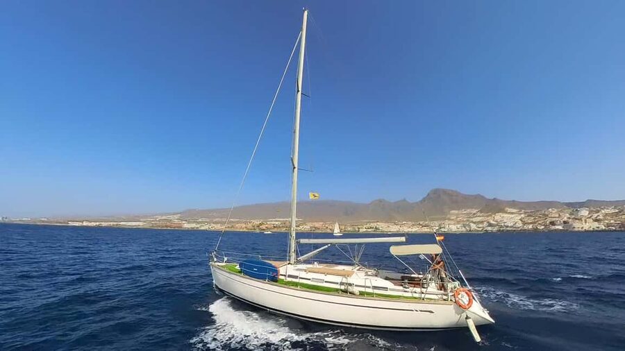 Private Whales & Dolphins Excursion: for you exclusively! - Is $530 good value for a private group?