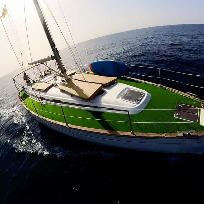 Private Whales & Dolphins Excursion: for you exclusively! - How the three hours usually flow