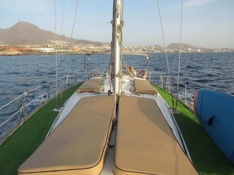 Private Whales & Dolphins Excursion: for you exclusively! - What the captain can add to the experience