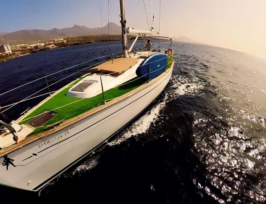 Private Whales & Dolphins Excursion: for you exclusively! - The practical drawbacks to consider