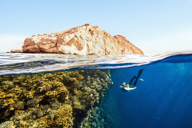 Private Wild Dolphin Encounter Day Trip - Snorkeling near reefs and a small sea lion colony