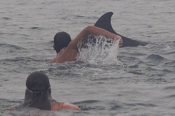 Private Wild Dolphin Encounter in Puerto Vallarta - Swimming only when the dolphins show interest