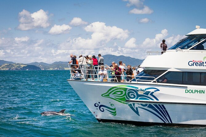 Private Yacht Cruise to Dolphin House with Lunch : Hurghada - Two snorkeling stops over coral reefs