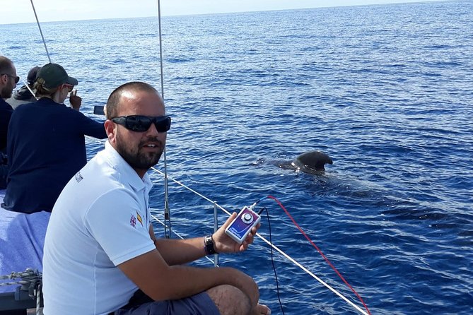 Private Yacht Tour With Whale and Dolphin Watching 33 Foot Boat - Food, Drinks, and Time to Relax
