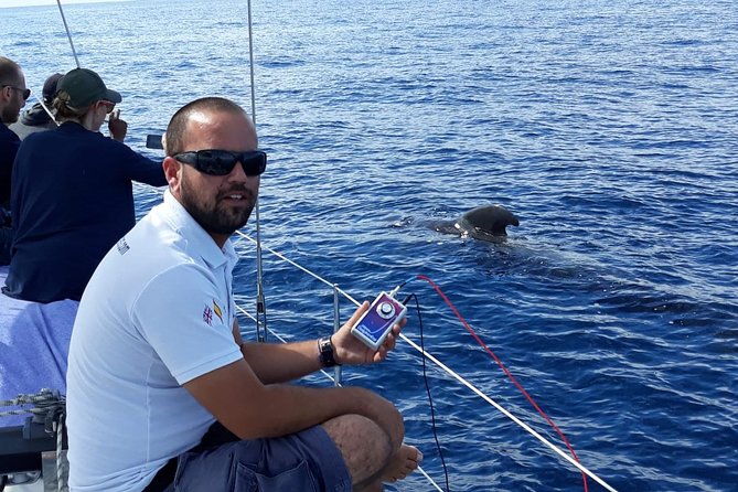 Private Yacht Tour With Whale and Dolphin Watching 42 Foot Boat - Practical details that affect your decision