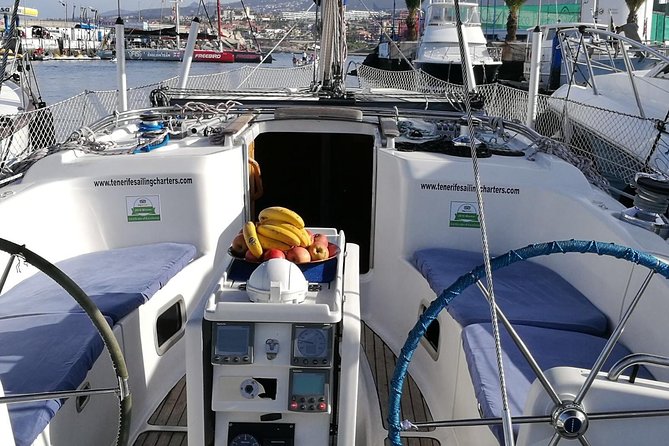 Private Yacht Tour With Whale and Dolphin Watching 42 Foot Boat - Swimming and snorkeling from the anchored yacht