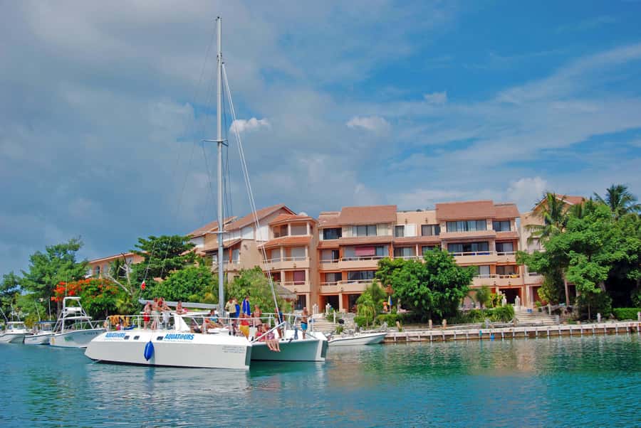 Puerto Aventuras: Dolphin and Manatee Interaction with Lunch - Puerto Aventuras Marina as Part of the Visit