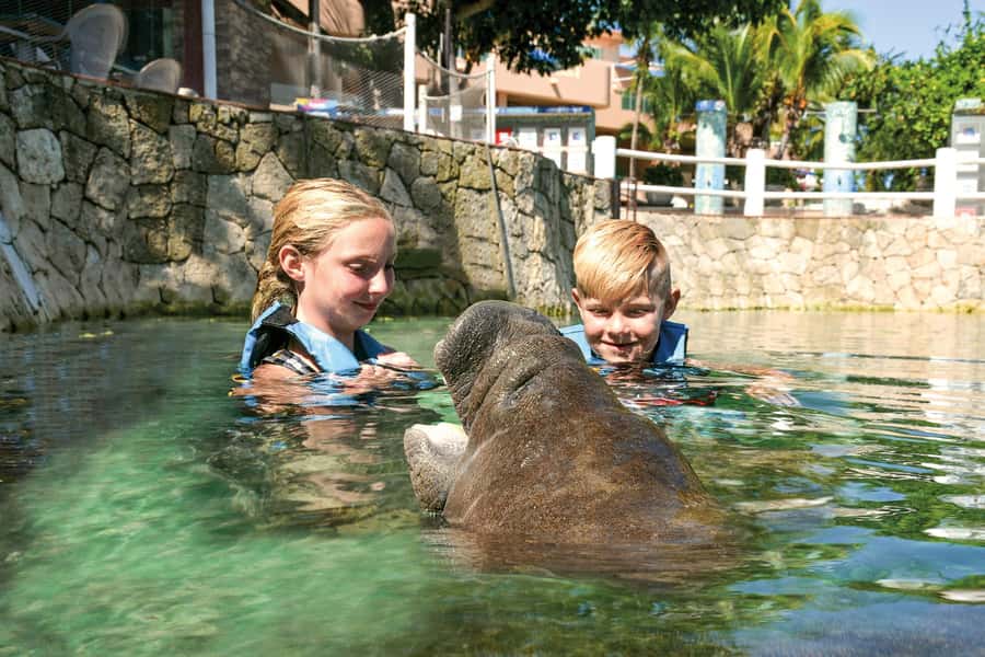 Puerto Aventuras: Dolphin and Manatee Interaction with Lunch - Who Will Get the Most From This Outing?