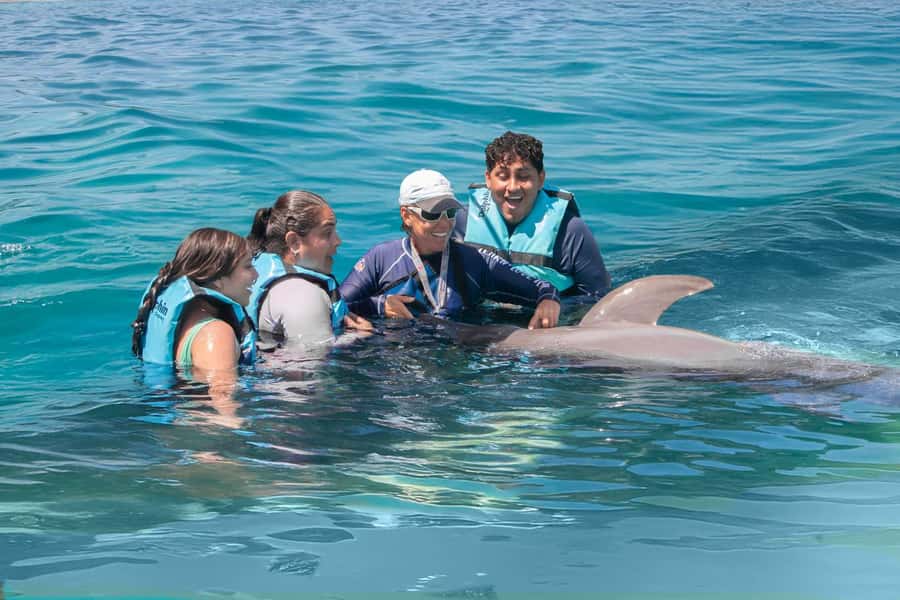 Puerto Aventuras: Dolphin and Manatee Interaction with Lunch - What the 50-Minute Dolphin Session Includes