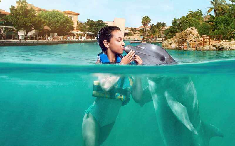 Puerto Aventuras: Dolphin Encounter with Buffet Lunch - Lunch, drinks, lockers, and showers