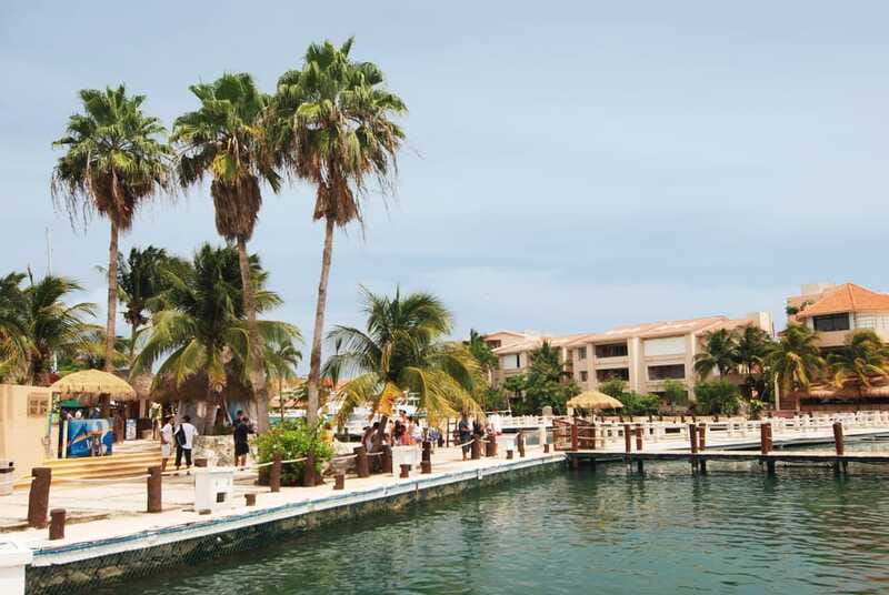 Puerto Aventuras: Dolphin Encounter with Buffet Lunch - Exploring the Puerto Aventuras marina