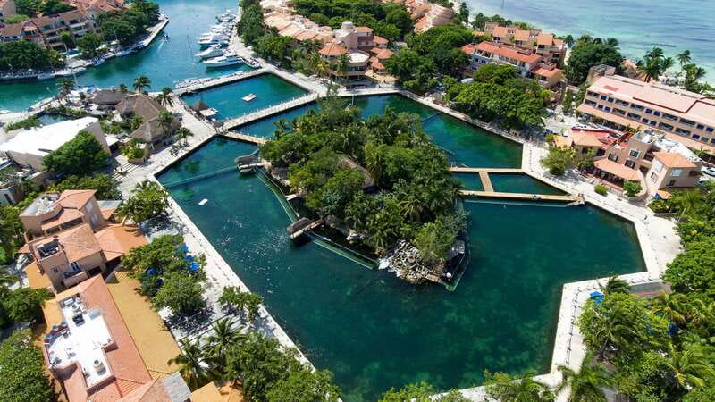 Puerto Aventuras: Dolphin & Manatee Encounter with lunch - Key points at a glance