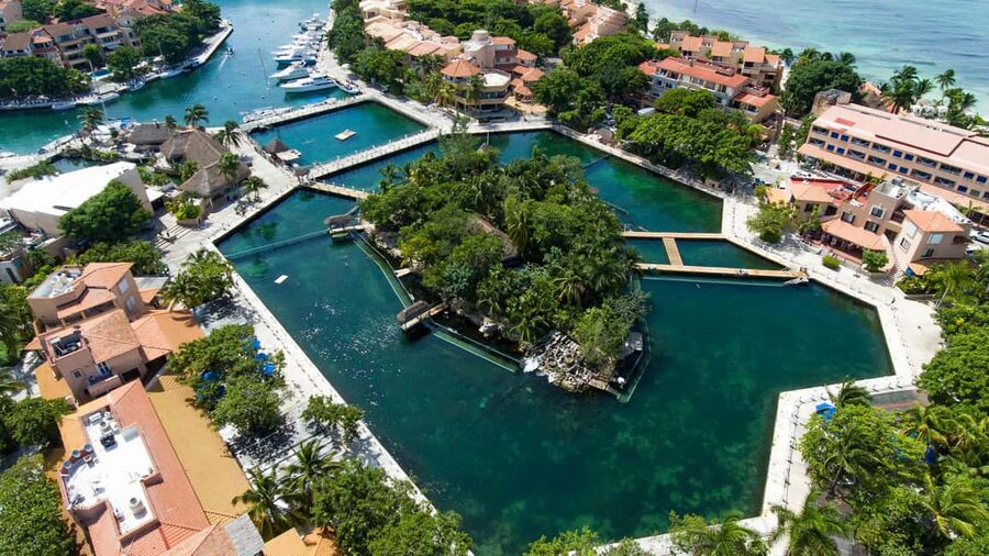 Puerto Aventuras: Dolphin & Manatee Encounter with lunch - Buffet lunch and Mexican aguas frescas