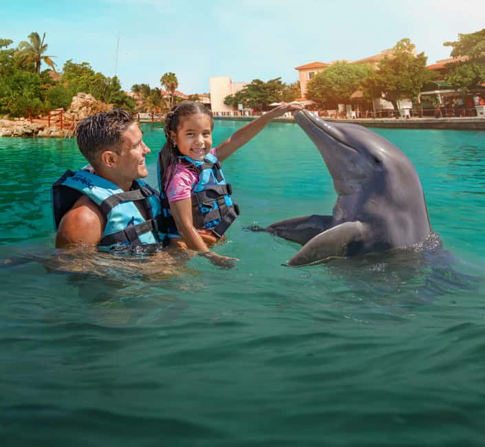 Puerto Aventuras: Dolphin & Manatee Encounter with lunch - Family height rules and pregnancy restrictions