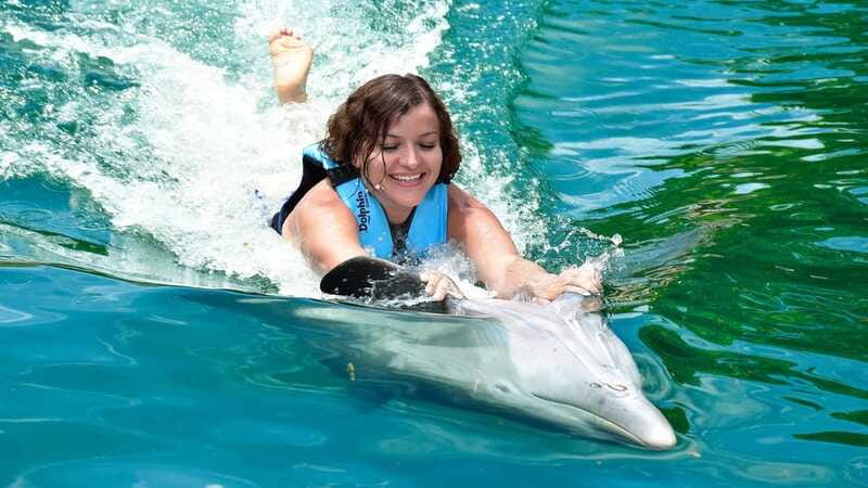Puerto Aventuras: Dolphin & Manatee Encounter with lunch - The strongest reasons to book