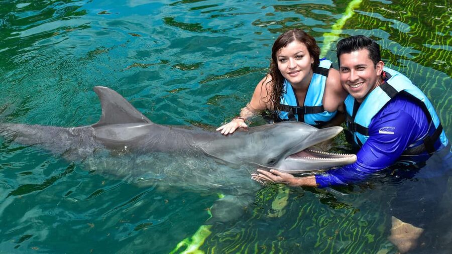 Puerto Aventuras: Dolphin & Manatee Encounter with lunch - The 15-minute manatee session