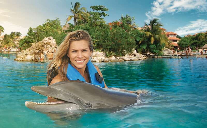 Puerto Aventuras: Dolphin Swim, Sea Lions, Manatees, & Lunch - Three marine mammals in one Puerto Aventuras visit