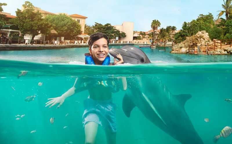 Puerto Aventuras: Dolphin Swim, Sea Lions, Manatees, & Lunch - Who will enjoy this program most?