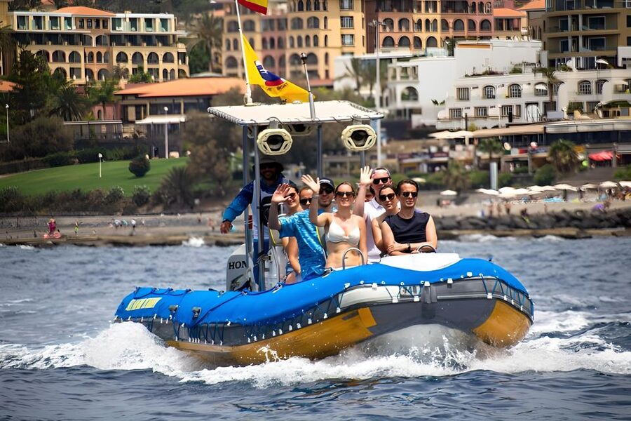 Puerto Colon: Dolphin and Whale Watching Speedboat Cruise - Watching Dolphins and Pilot Whales