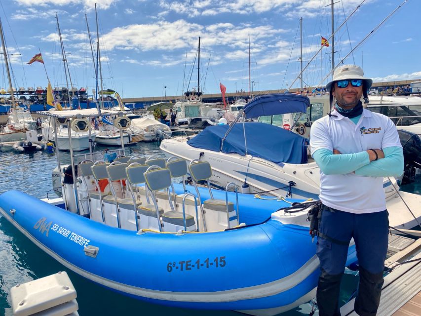 Puerto Colon: Dolphin and Whale Watching Speedboat Cruise - What Makes This Speedboat Different