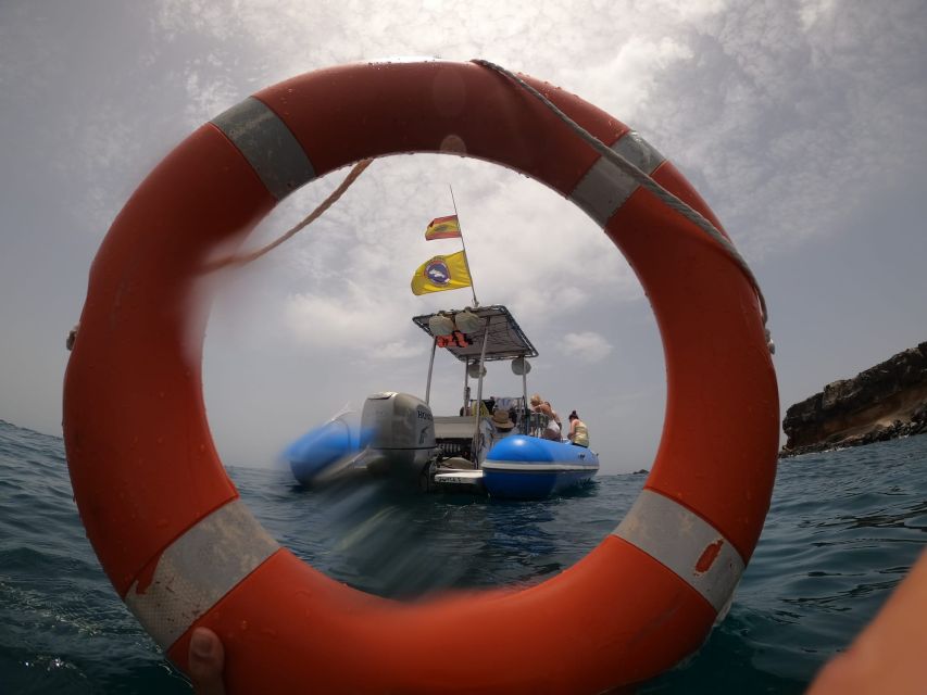 Puerto Colon: Dolphin and Whale Watching Speedboat Cruise - Should You Book the Puerto Colon Dolphin Cruise?