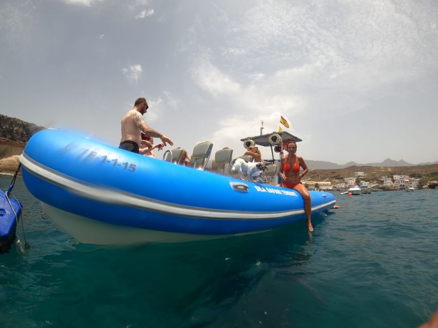 Puerto Colon: Dolphin and Whale Watching Speedboat Cruise - Three Hours Along South Tenerife