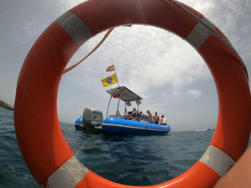 Puerto Colon: Dolphin and Whale Watching Speedboat Tour - Key points to know before booking