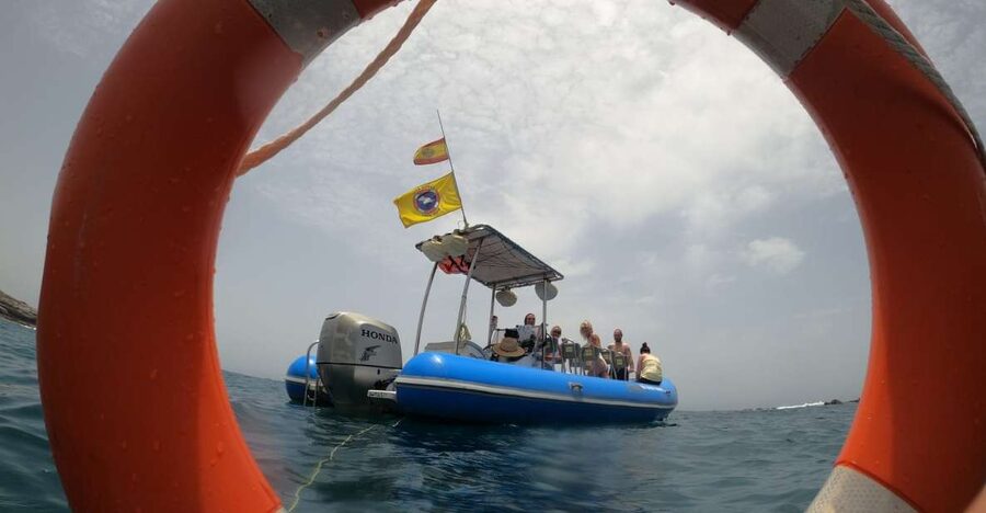Puerto Colon: Dolphin and Whale Watching Speedboat Tour - A respectful way to watch marine life