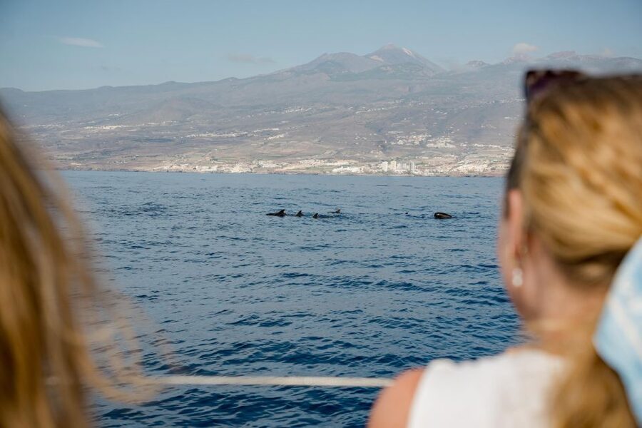 Puerto Colon: Whale and Dolphin Watching Yacht Trip - Why this Puerto Colón boat trip is appealing