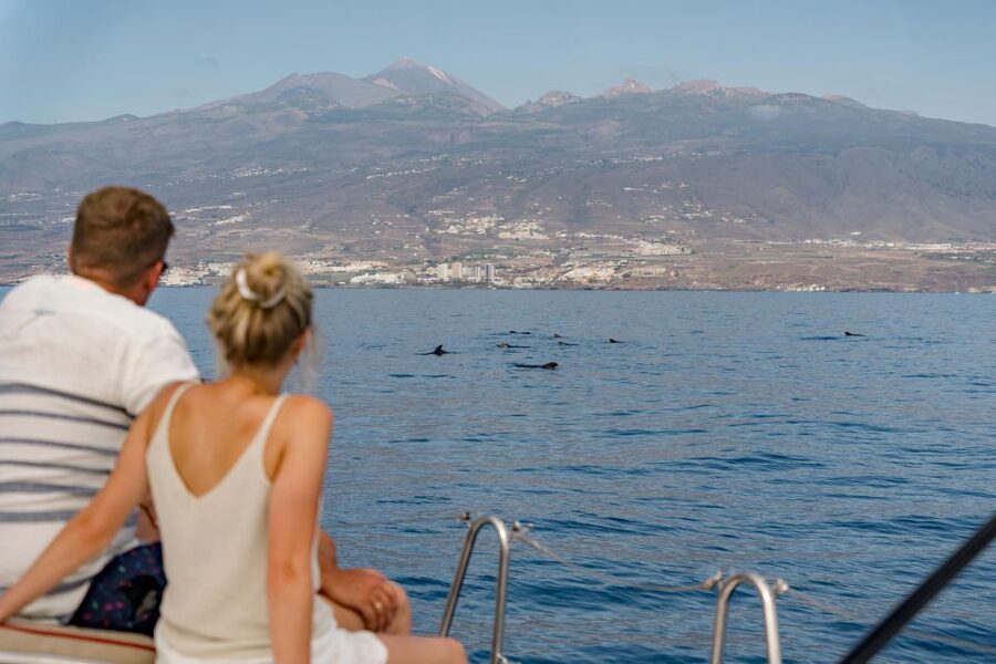 Puerto Colon: Whale and Dolphin Watching Yacht Trip - What to bring and how to prepare