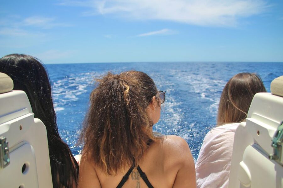 Puerto Colon : Whale & Dolphins Sailing Excursion - The three-hour option: a compact taste of the coast