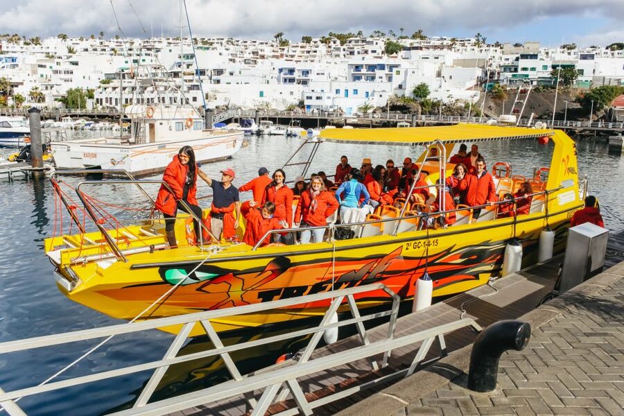 Puerto del Carmen: Dolphin-Watching Speedboat Tour with Swim - Key points to know before booking