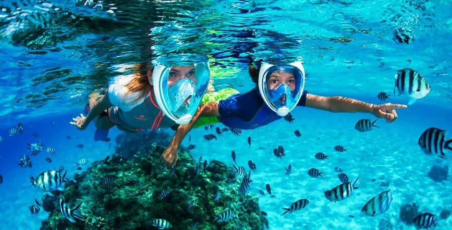 Puerto del Carmen: Dolphin-Watching Speedboat Tour with Swim - The Atlantic swim stop