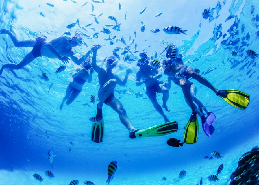 Puerto del Carmen: Dolphin-Watching Speedboat Tour with Swim - Speed, comfort, and the view from the coast