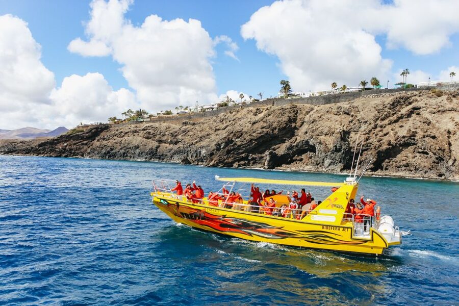 Puerto del Carmen: Dolphin-Watching Speedboat Tour with Swim - Practical details that make the day easier