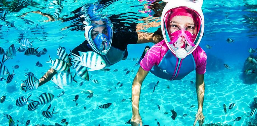 Puerto del Carmen: Dolphin-Watching Speedboat Tour with Swim - Searching for dolphins, whales, and turtles