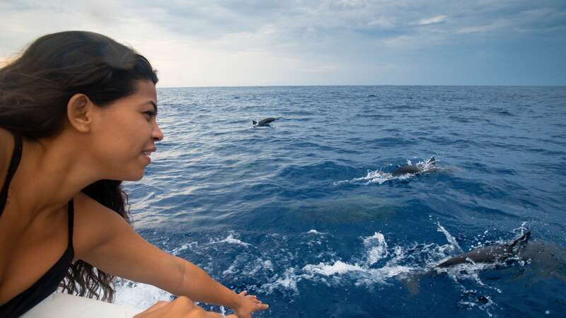 Puerto Escondido: Boat Tour among Dolphins and Turtles - Key points to know before you book