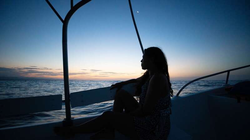 Puerto Escondido: Boat Tour among Dolphins and Turtles - Three hours searching the Pacific for wild animals