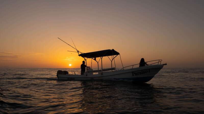 Puerto Escondido: Boat Tour among Dolphins and Turtles - From your hotel lobby to the Puerto Escondido dock