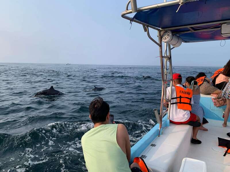 Puerto Escondido: Boat Tour to see Dolphins and Marine Life - Who should book, and who should skip it