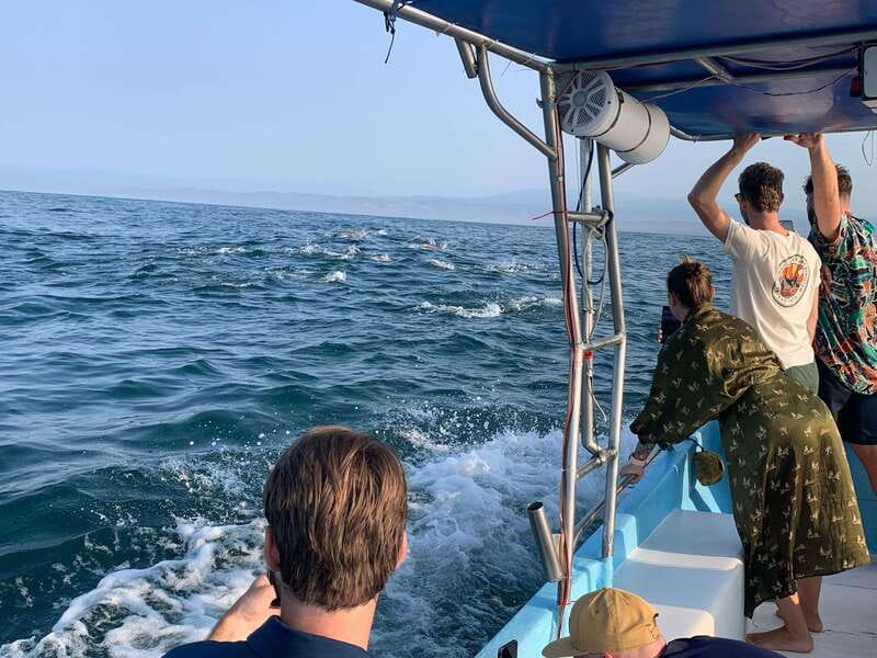 Puerto Escondido: Boat Tour to see Dolphins and Marine Life - Why this Puerto Escondido boat trip is worth considering